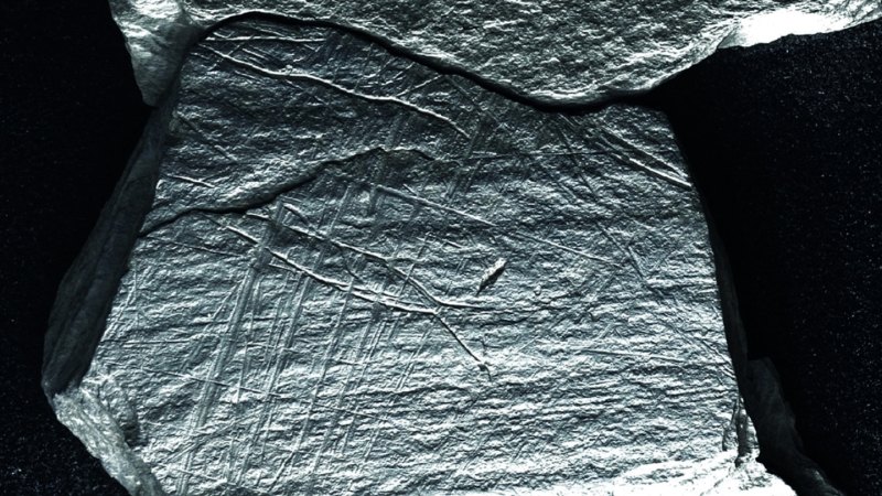 A close-up of stone with crisscrossing lines and the outlines of two fish etched on it